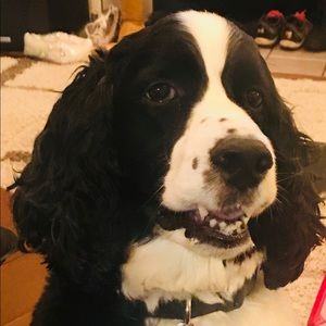 Meet your Posher, Lisa